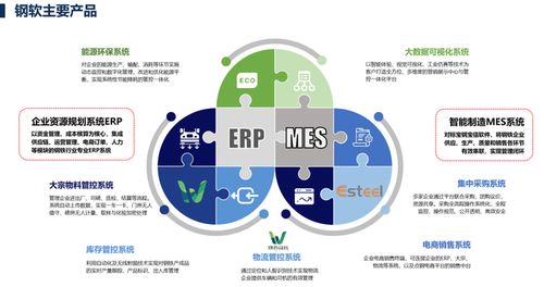 上海軟件開發 機遇、挑戰與未來展望