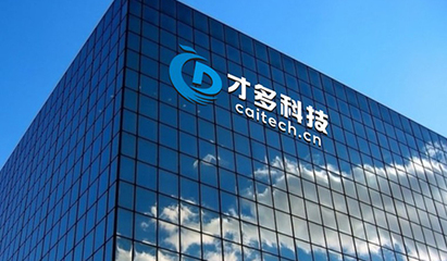 上海軟件開發(fā)公司簡介